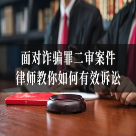 面对诈骗罪二审案件，律师教你如何有效诉讼