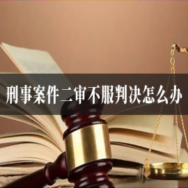 刑事案件二审不服判决怎么办