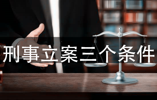 刑事立案