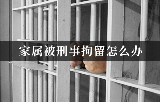 家属被刑事拘留怎么办